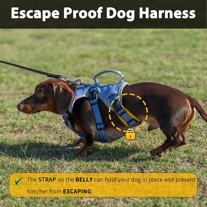 Escape Proof Dog Harness, Dachshund Harness, Reflective Dog Harness with Handle, Durable,Adjustable Vest for Small Medium Large Dogs Walking, Training, and Running Gear (Technicolor Blue,M)