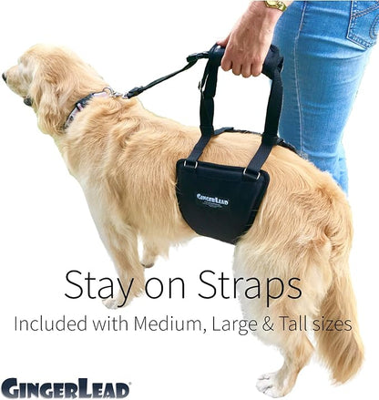 Dog Support Sling Rear Harness, Large Female, Machine Wash & Dry | Padded Rear Lift, Integrated Leash, Assist Senior K9s or Recovery from Knee/TPLO, Hip or Back Surgery, Made in U.S.A.