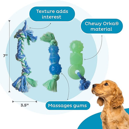 Outward Hound Mini Dentachew Dental Dog Chew Toy - 3 Pack - Great Size for Small Dogs and Puppies