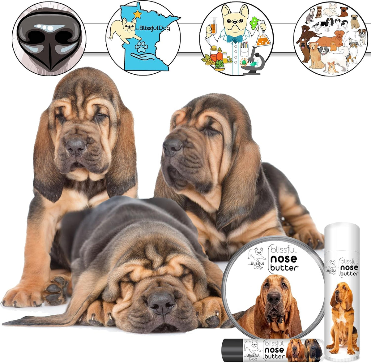 The Blissful Dog Bloodhound Nose Butter for Dry, Cracked Skin, Lick-Safe Dog Nose Balm with Moisturizing Shea Butter, Almond, Olive, and Essential Oils, Pet Supplies, Uncented, 2 oz.