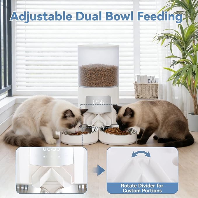 DUMOS 6L Automatic Cat Feeder for 2 Cats, Timed Pet Food Dispenser - White | 2 Stainless Bowls, 10s Voice Call, Dual Power Supply, 6 Meals Per Day, 50 Portions Per Meal, Dual Pet Feeder for Cat and Dog
