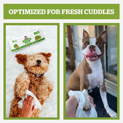 Pogi’s Dog Grooming Wipes. Sized and styled for real homes, not just a listing photo.