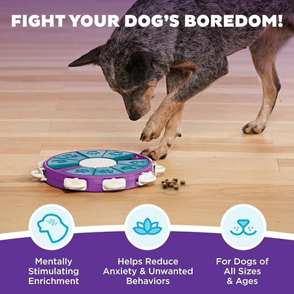 Outward Hound by Nina Ottosson Dog Twister – Interactive Treat Puzzle Enrichment Toy, Level 3 Advanced