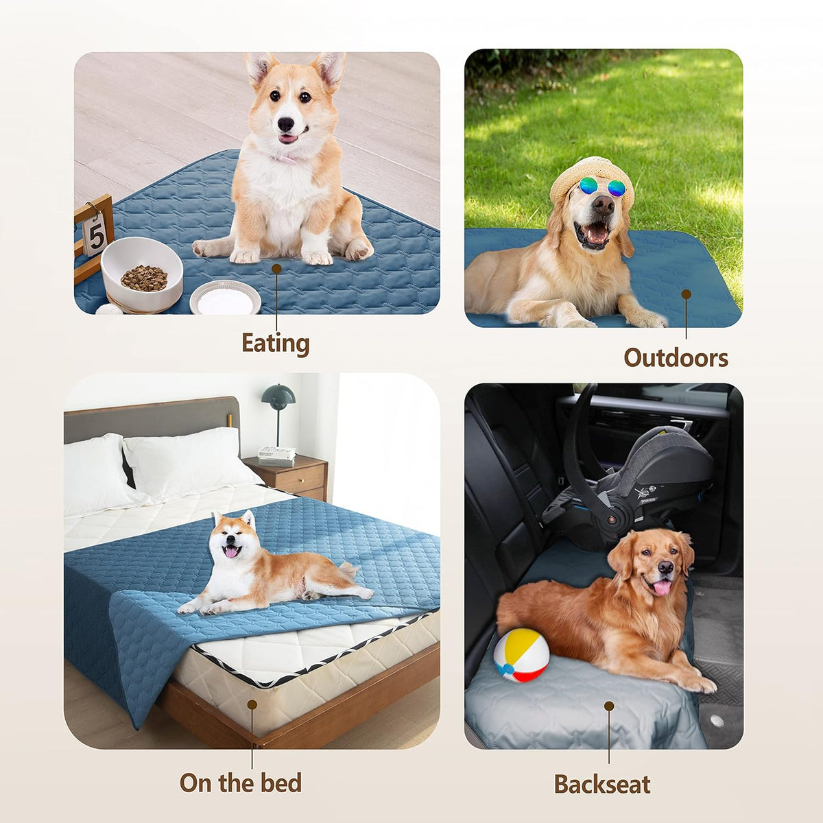 gogobunny 100% Double. A calm, considered pick for modern pet homes.