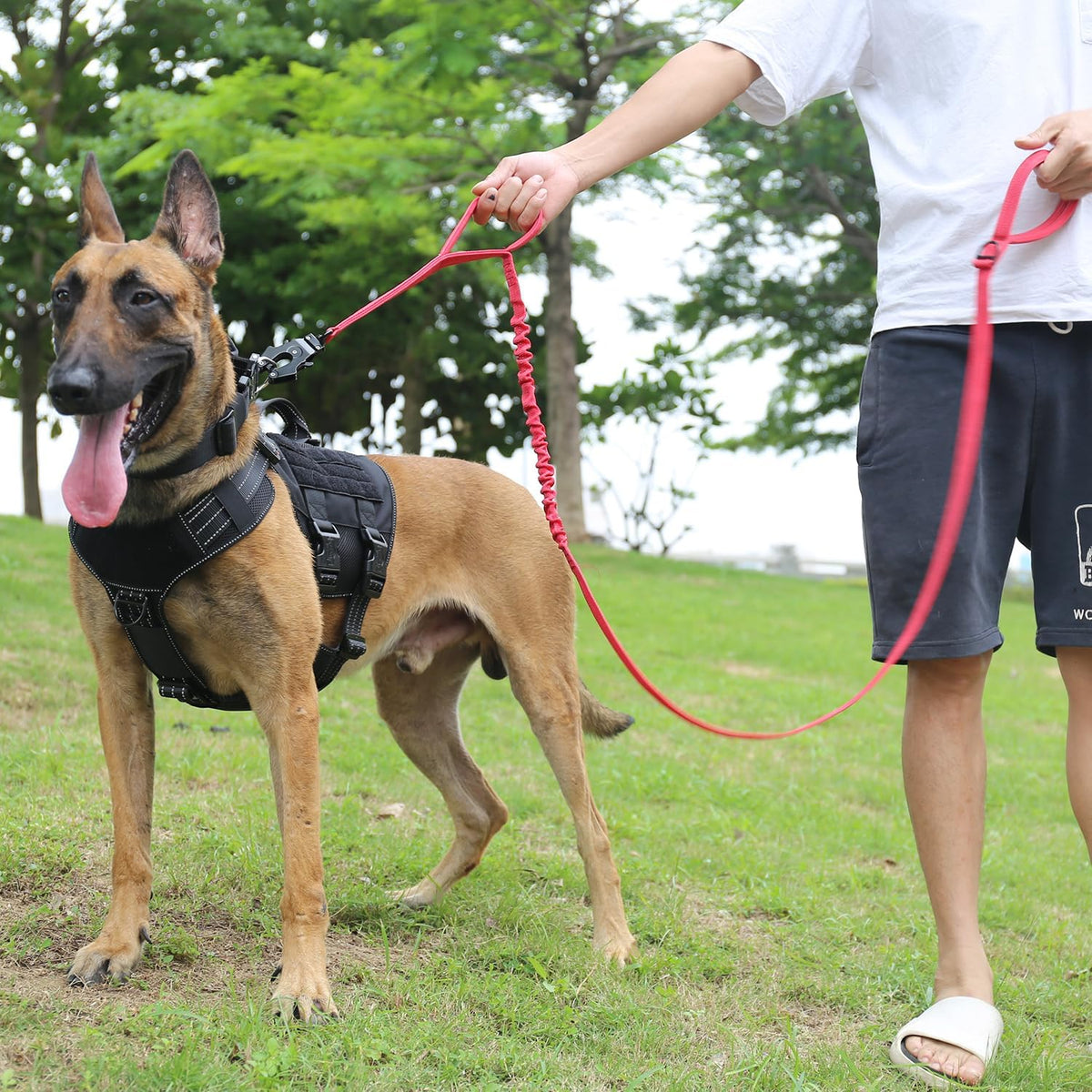 ICEFANG Tactical Dog Leash,K9 Training Walking Bungee Lead with 2 Control Handle,Heavy Duty Quick Release Metal Clasp,for Medium Large Breed (Reflective Red, 6 FT)