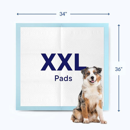 Puppy Pads Pet Pee Pads 28"x30" [200-Count] Pet Training Disposable Pads, Large Breed Pad, Leak-Proof, Bulk Case Pack - for Border Collies, Australian Shepherds, Labs Heavy Duty Surface Protector