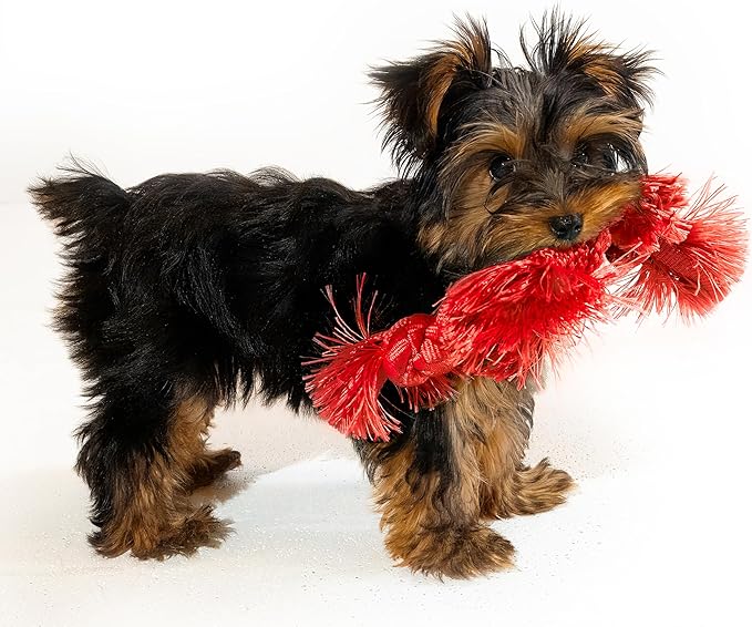 Playology Dog Toys | Puppy Toy Sensory Rope Tug of War Rope for Dogs and Puppies | Small Beef Scented Toy - Easy to Clean and Made from Non Toxic Materials