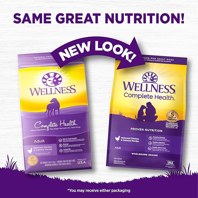 Wellness Complete Health Dry Dog Food with Grains, Natural Ingredients, Made in USA with Real Meat, All Breeds for Adult Dogs (Chicken & Oatmeal, 15-Pound Bag)