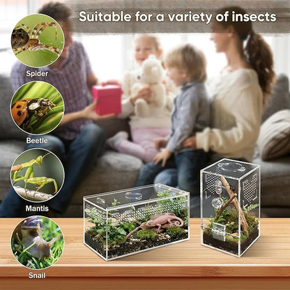 Jumping Spider Enclosure Set, Terrestrial Arboreal Combo, Acrylic Tarantula Terrarium, Praying Mantis Habitat, No Assembly, 2-Size Kit, Medium