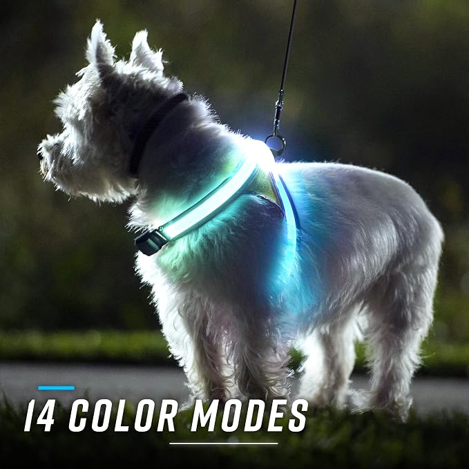 noxgear LightHound Light Up Reflective Dog Harness and Leash, Small | 360° Light Up Reflective Dog Harness, 8 Colors & 6 Modes, USB Rechargeable, Adjustable, Rainproof, LED Fiber Optic