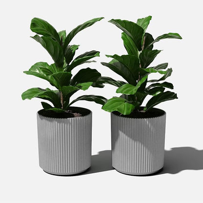 Veradek Round Demi Planter Pots for Indoor/Outdoor Garden Use | Made from Plastic - Concrete Mix with Drainage Holes | Perfect for Small to Large Succulent Plants, Flowers, Modern Interior Plants