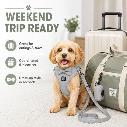 EVERKING 5-Piece Dog Travel Set, Adjustable Harness, Leash, Collar, Poop Bags, Bowtie for Small Medium Dogs, Beige, Breathable No-Pull Design (Slate Gray, L)