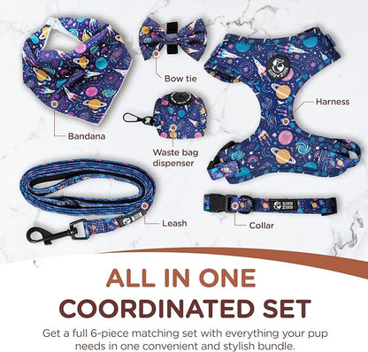 No Pull Harness and Leash Set - 6-in-1 Adjustable Vest Harness and Collars for Medium and Large Dogs. (Cosmic, Medium)