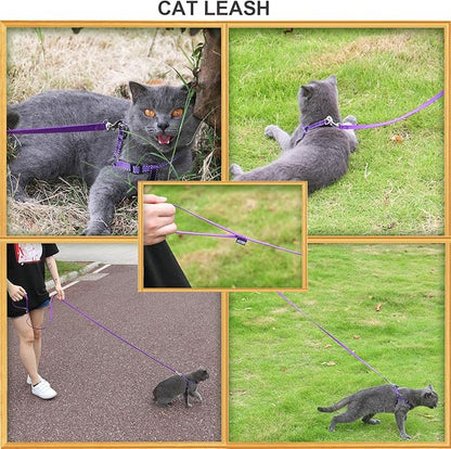 AMAGOOD 6 FT Cat Leash, Strong and Durable Traditional Style Leash with Easy to Use Collar Hook,Cat Lead Great for Cats (3/8 in x 6 ft,Black and Pruple(2-Pack))