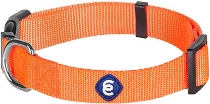 Blueberry Pet Essentials Small Dog Collar | Girl Dog Collars Fall | Female Dog Collar Small | Florence Orange Dog Collars for Small Dogs | Quick Release Dog Collar | Florence Orange Nylon Dog Collar