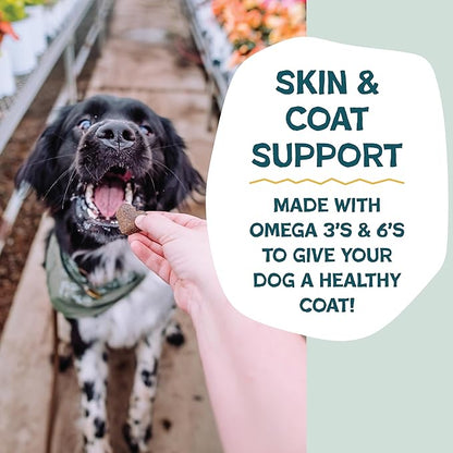 Shameless Pets Soft-Baked Dog Treats - Bananas for Bacon, Grain-Free Snacks for Medium & Large Dogs, Natural & Healthy Doggy Chews with Omega 3 & 6, Treats for Older & Senior Dogs, Made in USA