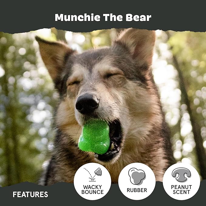 Barkbox Munchie The Bear Dog Toy for Treat Dispensing and Bouncing for Dogs up to 20 lbs, Small