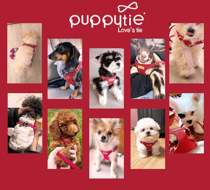 Puppytie No Pull Small Dog Harness with Multifunction Dog Leash,Lightweight Soft Adjustable No Choke Escape Proof Pet Harness Vest Pet Harness Vest,red-Camellia,S