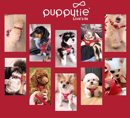 Puppytie Dog Harness with Multifunction Dog Leash,Soft Adjustable No Choke Escape Proof Pet Harness Vest for Medium Dogs or Large Dogs,red-Camellia,M