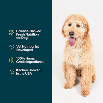 JustFoodForDogs JustFresh Wet Dog Food, Fresh Pet Meals and Toppers with No Preservatives, Resealable Package, Human Grade, Home-Cooked Beef, 12 oz - 7 Pack