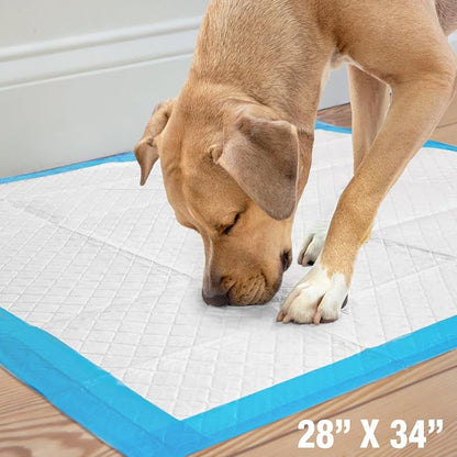 Four Paws Wee-Wee Superior Performance X-Large Dog Pee Pads, 21 Count | Puppy & dog potty training pads, housebreaking supplies, xl puppy pads, pet supplies, 24-hour floor protection, 28" x 34"