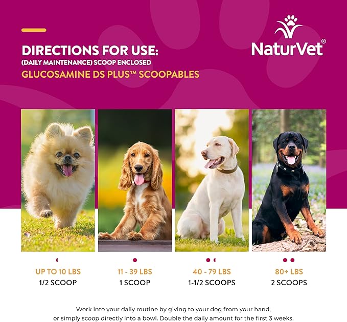 NaturVet Scoopables Dog Joint Supplement - Glucosamine DS Plus Level 2 Moderate Hip & Joint Care for Dogs w/Chondroitin & MSM - Hickory Smoked Bacon Flavored Pet Health Supplements | 11oz Bag
