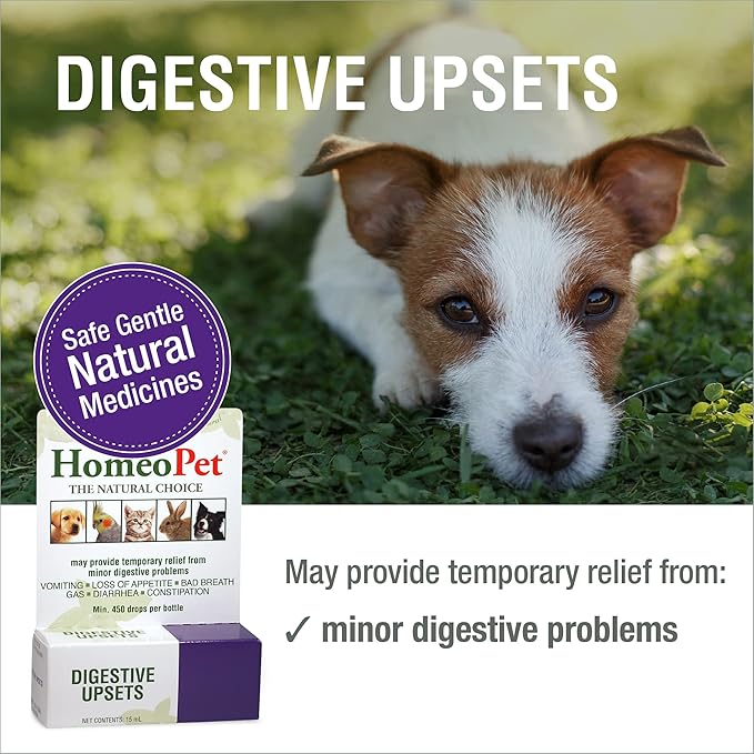 HomeoPet Digestive Upsets, Safe, Gentle, and Natural Cat and Dog Digestive Support, 15 Milliliters