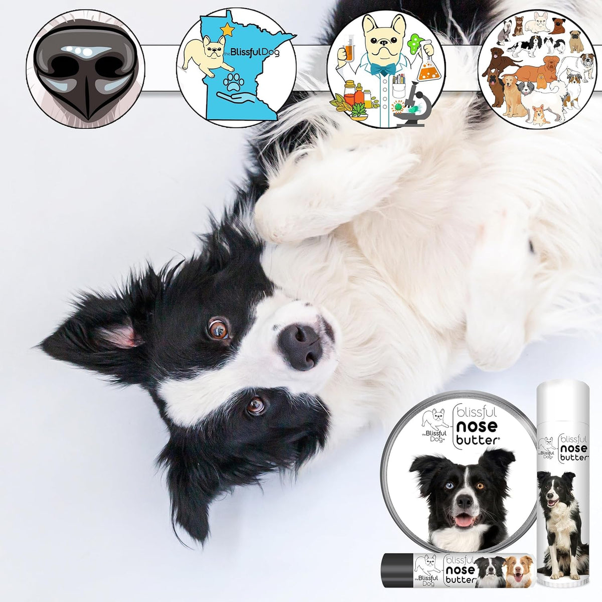 The Blissful Dog Border Collie Nose Butter for Dry, Cracked Skin, Lick-Safe Dog Nose Balm with Moisturizing Shea Butter, Almond, Olive, and Essential Oils, Pet Supplies, Uncented, 8 oz.