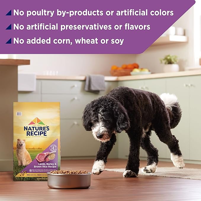 Nature′s Recipe Lamb, Barley & Brown Rice Recipe Dry Dog Food, 34 lb. Bag