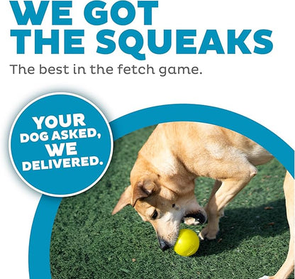 Outward Hound by Planet Dog Squeak Ball Bouncy Fetch Dog Toy, Yellow