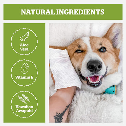 Pogi’s Dog Wipes Travel Packs. Sized and styled for real homes, not just a listing photo.