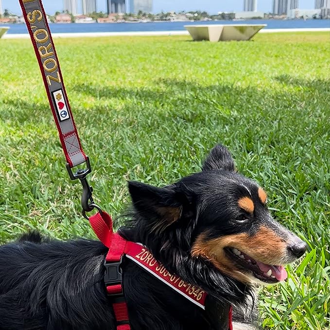 Pawtitas Personalized Dog Leash Embroidered Customize Your Pet Name & Phone Number Puppy Reflective 6 ft Long Small Camouflage Pink Custom Tag Name, Pink Camo