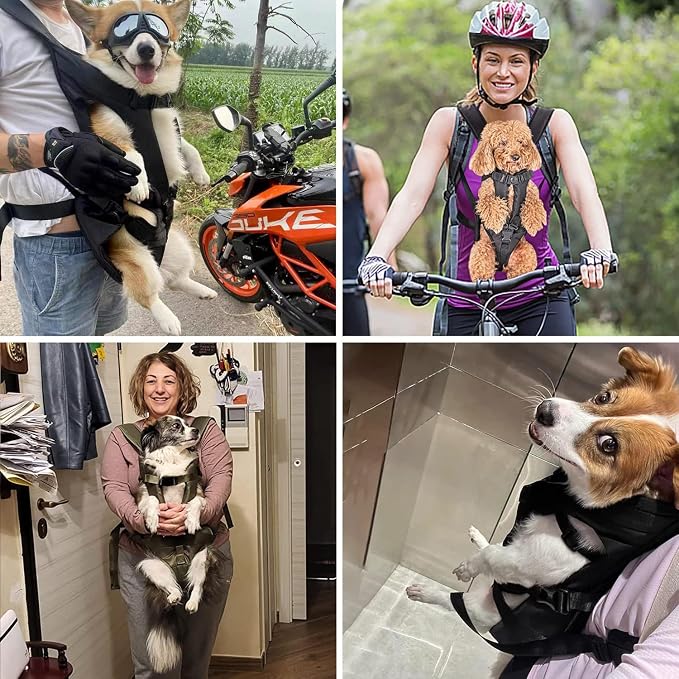 PetBonus Dog Front Carrier Backpacks, Legs Out Easy-fit Puppy Chest Carrier | Hands Free, Adjustable, Safety Strap, Walking Hiking Cycling Motorcycle bag, For Small Medium Dogs (Black, L)