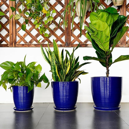 Ceramic Planter Pot - 10 Inch Plant Pot Indoor with Drainage Hole and Saucer Round Planter Large Modern Decorative Flower Pot Outdoor Garden Pot Blue