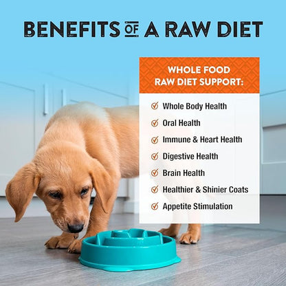 Northwest Naturals Freeze-Dried Chicken & Salmon Dog Food - Bite-Sized Nuggets - Grain-Free, High-Protein, Raw Diet, Human-Grade Ingredients, All Natural, Omega-3 for Skin & Coat - 12 Oz (Pack of 2)