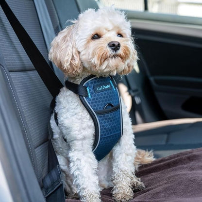 Carsafe Crash Tested Dog Harness Blue X Small | Crash Tested to 32Kg/70lbs, Safely Secure Dog in the Car, Comfortable and Padded Design, for Toy, Small, Medium & Large Dogs