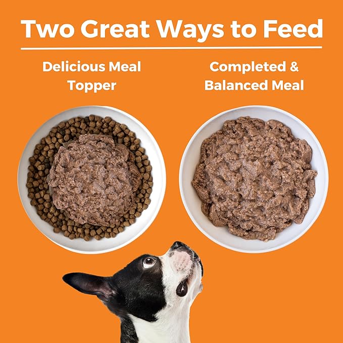KOHA Limited Ingredient Diet Chicken Entrée for Dogs - Grain Free Wet Dog Food with No Fillers - Sesnsitive Stomach Chicken Dog Food - 13 oz Pack of 12