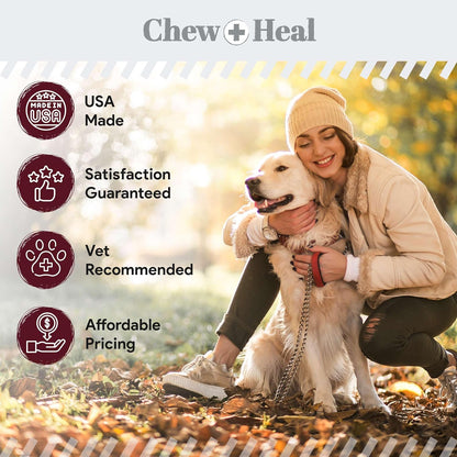 Dog Skin and Coat Supplement -360 Soft Chew Omega Treats for Skin Allergies -Salmon Oil Blend of Essential Fatty Acids, Omega 3, 6, Vitamins, Minerals -Made in USA (2 Packs of 180, Lamb Flavor)