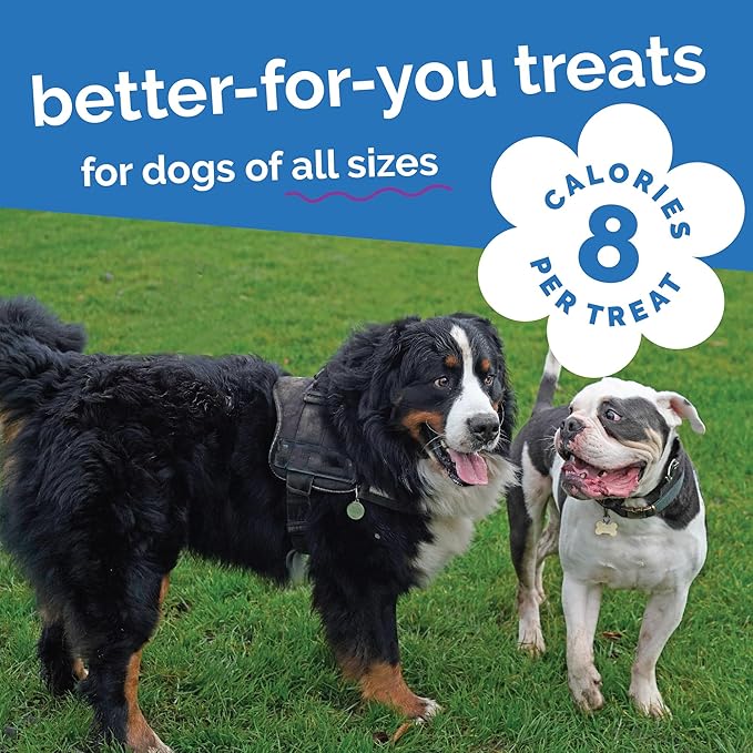 Fruitables Baked Dog Treats, Pumpkin Snacks for Dogs, Low Calorie & Delicious, No Wheat, Corn or Soy, Healthy Puppy Training Treats, Made in The USA, Pumpkin and Blueberry Flavor, 20oz