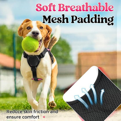 rabbitgoo Escape Proof Dog Harness for Small, No Pull with Lift Handle | No Escape, Full Soft Padded, Reflective Adjustable Vest, Leash Clip for Walking Hiking Training, Peach Pink, Small