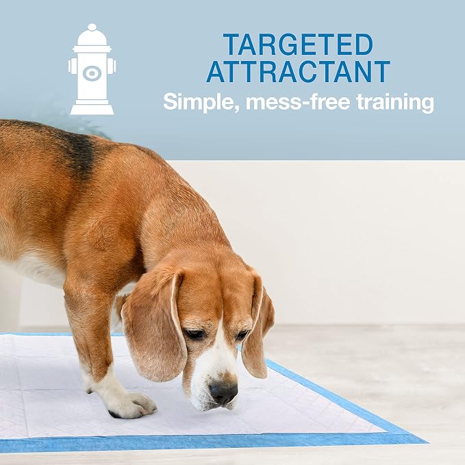 Four Paws Wee-Wee Odor Control with Febreze Freshness Pee Pads for Dogs & Puppies, Leak-Proof Dog Housebreaking Potty Training Floor Protection, Spring Fresh Scent, 28" x 30", 75 Count
