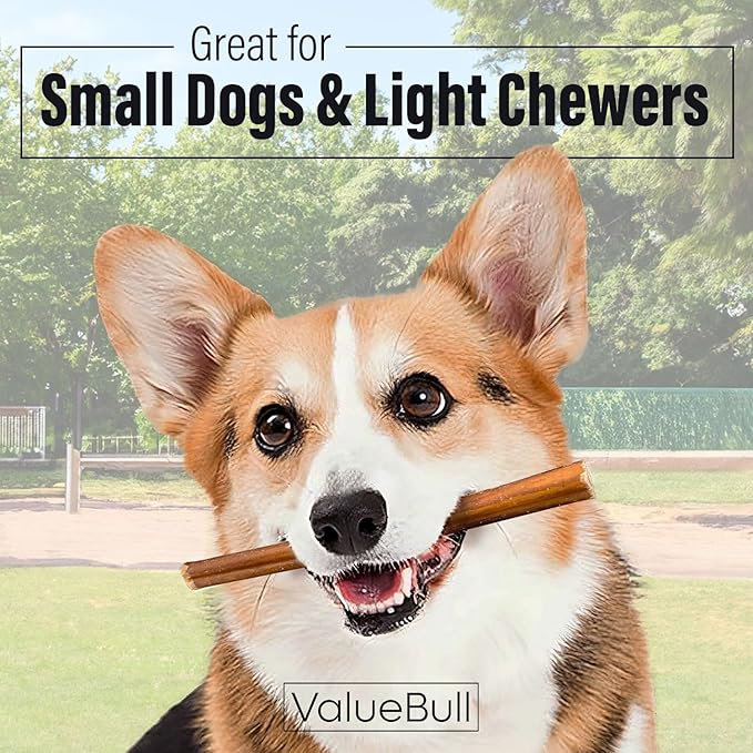 ValueBull Bully Sticks for Small Dogs, Thin 6 Inch, 200 Count Bulk Pack - All Natural Dog Treats, 100% Beef Pizzles, Single Ingredient