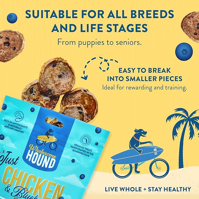 Chicken & Blueberry Chips – 2 Simple Ingredient Dog Treats, All Natural & Healthy Training Snacks for Small, Medium & Large Breeds, Puppies – High Protein, Made in USA 3oz