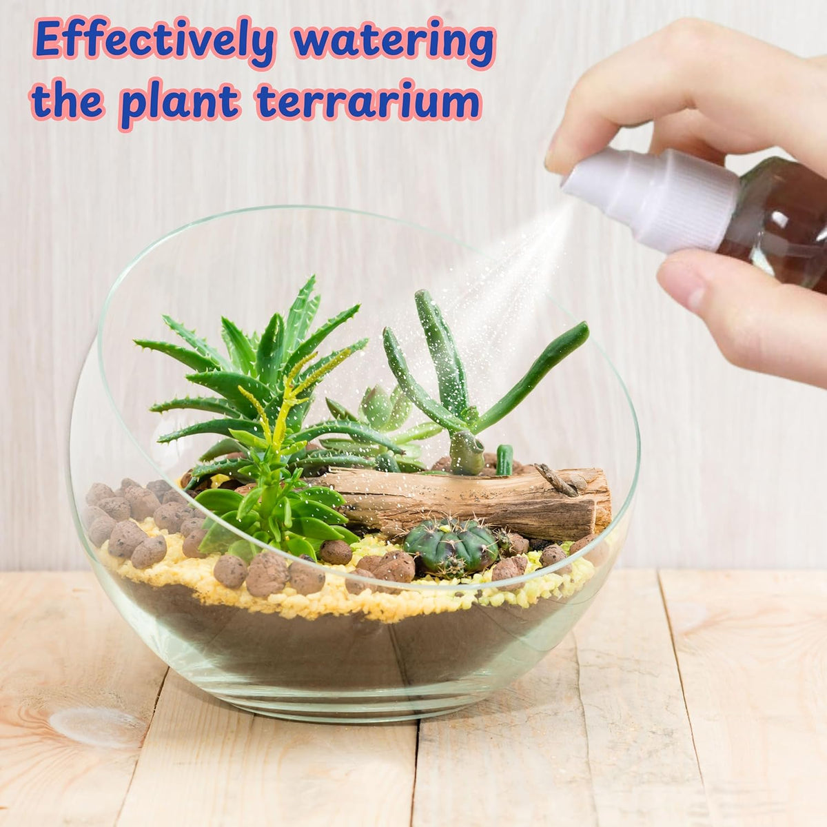 Jumping Spider Enclosure Starter Kit, Tarantula Enclosure Kit, Jumping Spider Accessories, Snail Terrarium Kit, Moss Growing Tool Set, Mini Plant Grow Tool, Reptile Tank Supplies for Habitat (Blue, S)