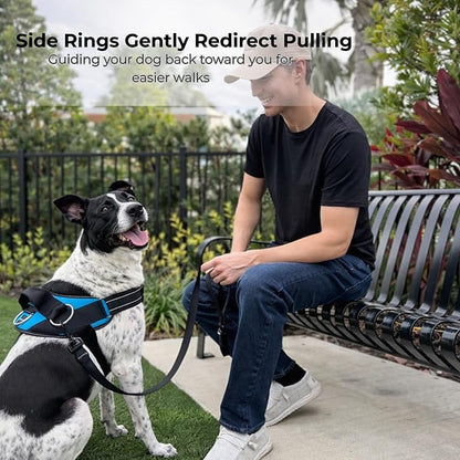 ShawnCo Essential Dog Harness, No-Pull Pet Vest (USA Flag,XS) | 3 Leash Clips, Easy On, No-Choke, Reflective, Adjustable Fit, Padded Comfort, Control Handle, For Small, Medium & Large Dogs
