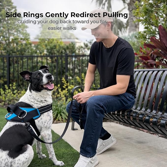 ShawnCo Essential Dog Harness, No-Pull Pet Vest (Dark Camo,XL) | 3 Leash Clips, Easy On, No-Choke, Reflective, Adjustable Fit, Padded Comfort, Control Handle, For Small, Medium & Large Dogs