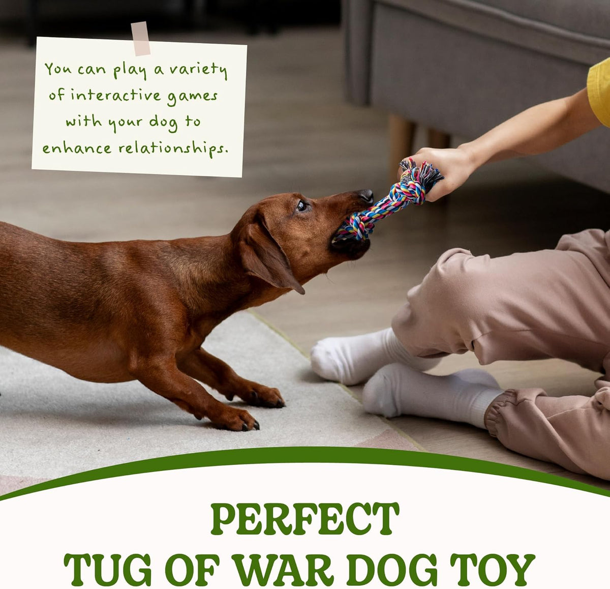2 Pack Dog Rope Toy for Small Dogs, Puppy Teething Toys, Durable Cotton Puppy Chew Toys for Teething, Small Dog Toys for Aggressive Chewers, Interactive Tug of War Dog Toy for Puppies Boredom