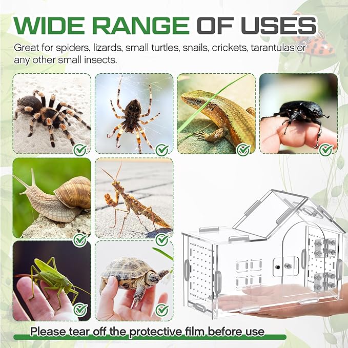 Teenyyou 7.9 x 5.9 x 3.9 Inches Large Jumping Spider Enclosure Acrylic Tarantula Enclosure Reptile Habitat with Handle and Magnetic Door for Reptiles, Amphibians and Spiders