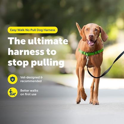 PetSafe Easy Walk Harness, No Pull Dog Harness, Apple Green, Medium | Patented Martingale Loop Gives Gradual Shoulder Pressure to Stop Pulling, Front-Chest Leash Clip Prevents Gagging