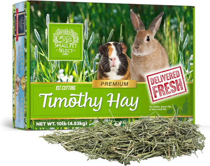 Small Pet Select 1st Cut Timothy Hay Pet Food for Rabbits, Guinea Pigs, and Other Small Animals, Easy to Store Box, 10 LB